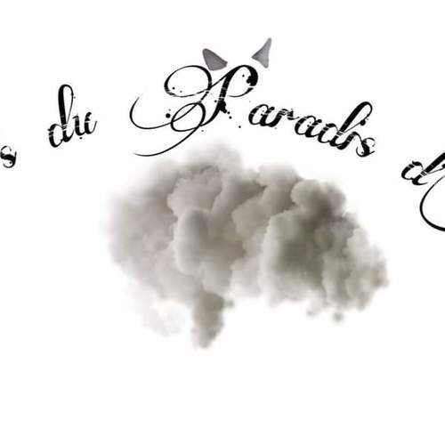 Elevage de ragdolls loof