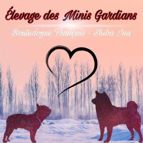 Élevage des Minis Gardians