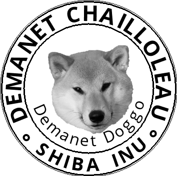 Elevage de shiba inu lof