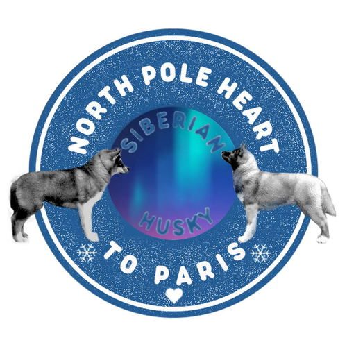 Elevage de siberian husky - husky de sibérie