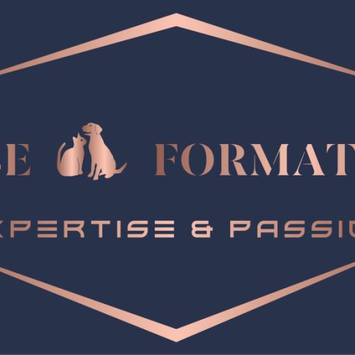 Asbe formations à votre service !