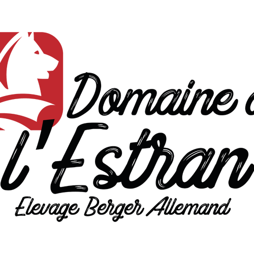 Elevage Berger Allemand poil long & court