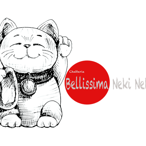 Chinese Tank Cat / Munchkin