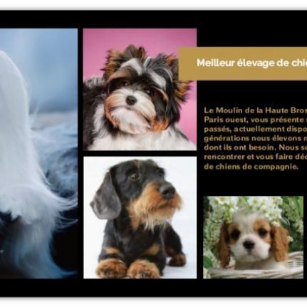 Elevage du moulin de la haute brosse