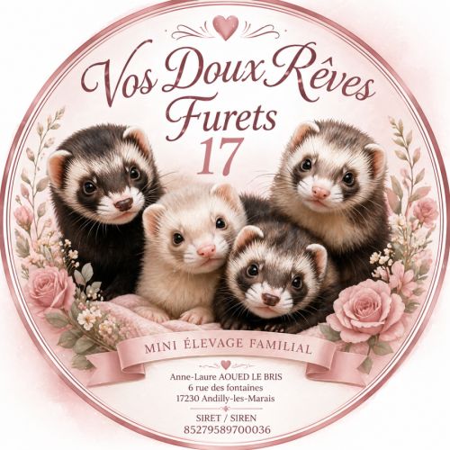 Vosdouxreves furets 17 élevage de furets