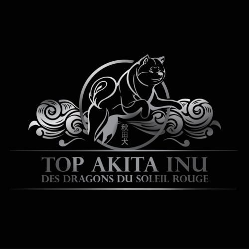 Top akita inu