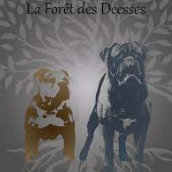 Elevage dogue de bordeaux