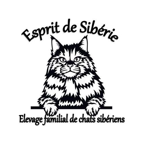 Elevage de sibérien