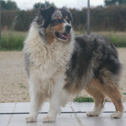 Domaine du grand castang