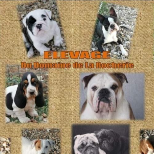 Élevage du domaine de la rocherie