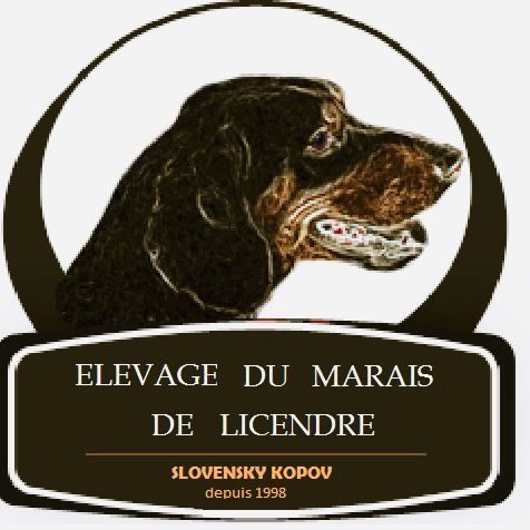 Élevage du marais de licendre