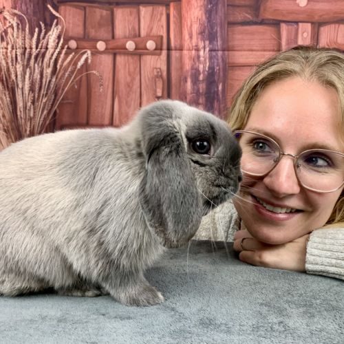 Elevage de lapins nains de race et alimentation