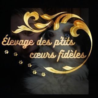 Elevage des p'tits coeurs fidèles