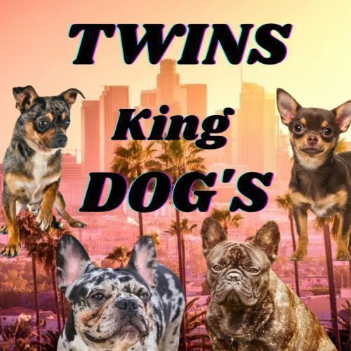 Twinskingdog's
