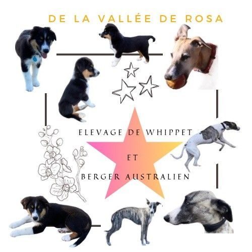 La vallée de rosa, élevage familial et respectueux