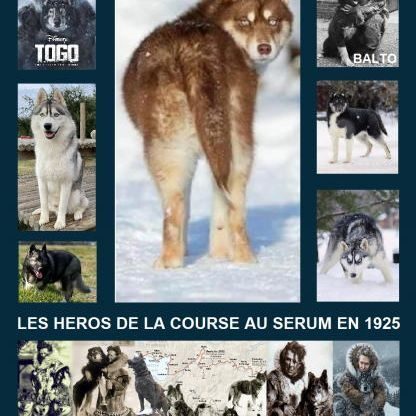 Alphareign & white soul husky, laika de iakoutie