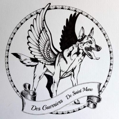 Des guerriers de saint marc