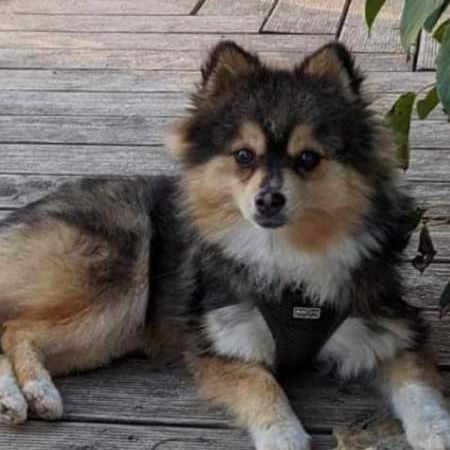 Domaine de la vallée des bleuets