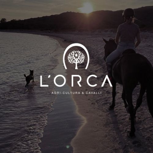 Élevage de cursinu lof