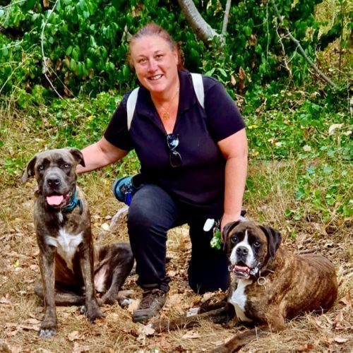 Educateur comportementaliste canin