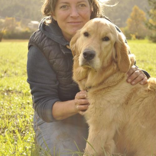 Golden retriever lof