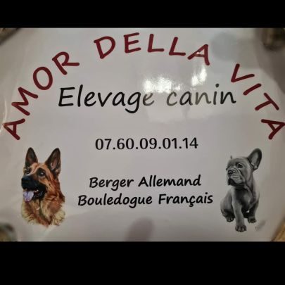 Élevage de bouledogue français