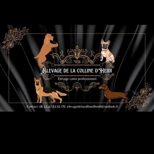 Élevage de la colline d'heidi