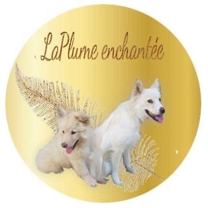 Elevage de laplume enchantée