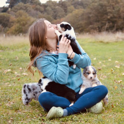 Elevage sous la lune noire