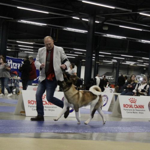 Des hauts de rotomagus