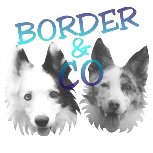 Border & co