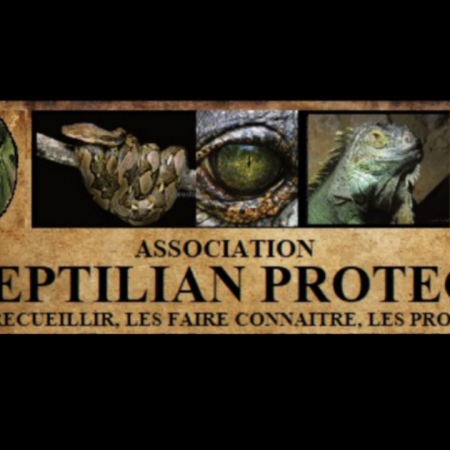 Association spécialisée reptiles