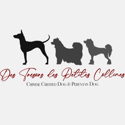 Des trésors des petites collines