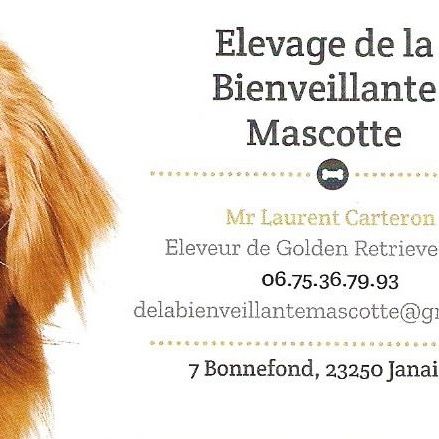 Elevage de la bienveillante mascotte