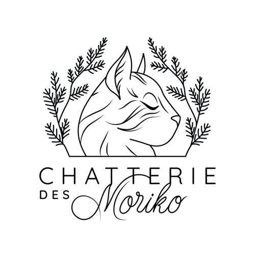 Élevage de norvégiens en isère