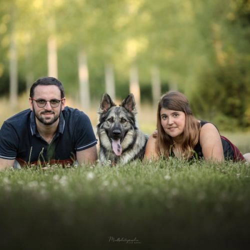 Elevage familial d'altdeutscher schäferhund