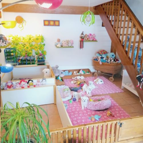 Elevage de la felhotte