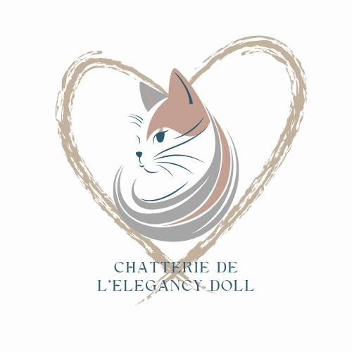 Chaterie elegancy doll