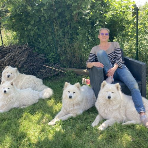 Les petits trésors de joué