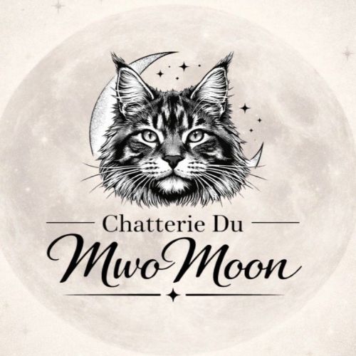 Chatterie du mwomoon