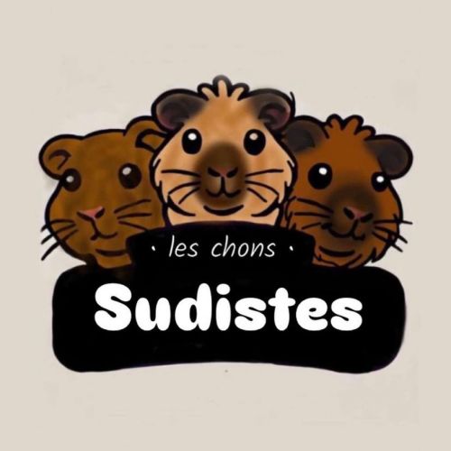 Elevage de cochon d’inde