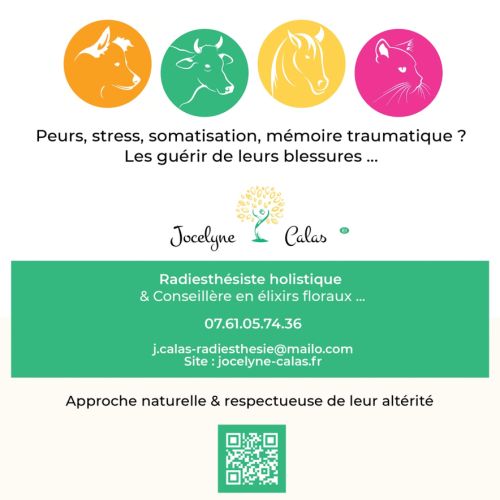 Les guérir de leurs bléssures