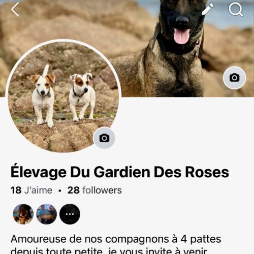 Élevage du gardien des roses