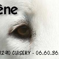 Elevage du mont de sène