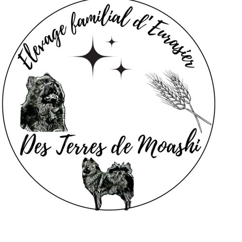 Elevage familial des terres de moashi