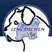 Élevage familial de terriers du tibet