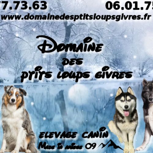 Domaine des ptits loups givres