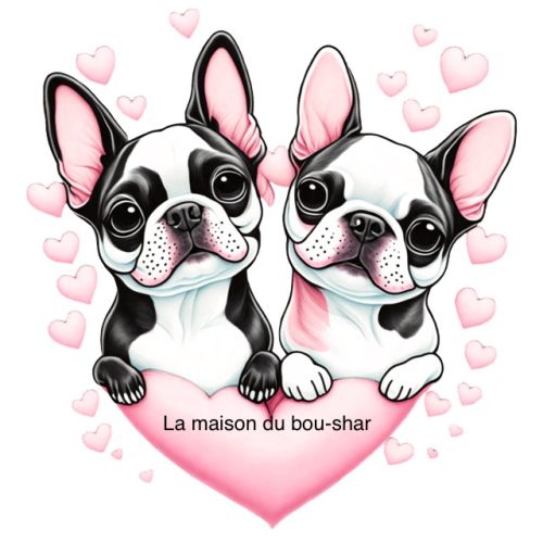 La maison du bou-shar16