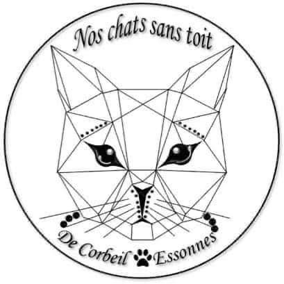 Association nos chats sans toit