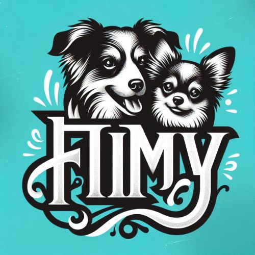 Elevage de chihuahua